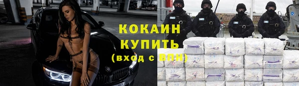 тгк Дмитровск