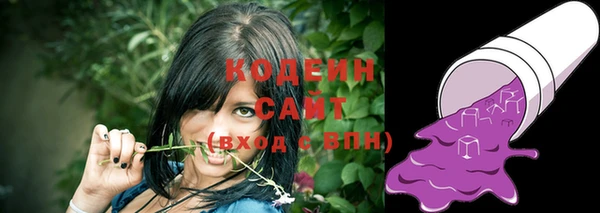 тгк Дмитровск