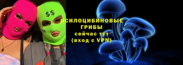 ГАЛЛЮЦИНОГЕННЫЕ ГРИБЫ Дмитров