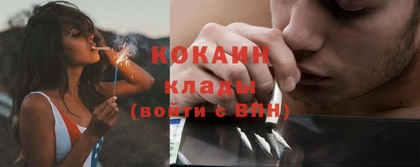 ГАЛЛЮЦИНОГЕННЫЕ ГРИБЫ Дмитров