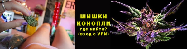 ГАЛЛЮЦИНОГЕННЫЕ ГРИБЫ Дмитров