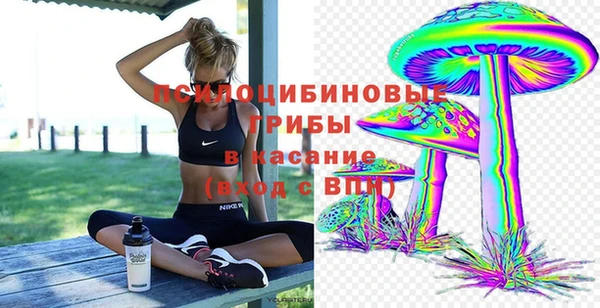 тгк Дмитровск