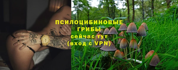 кокаин перу Дмитриев