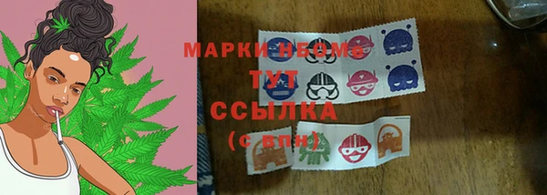 тгк Дмитровск