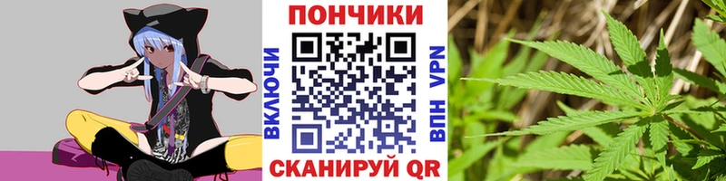 Бошки марихуана MAZAR Елизово